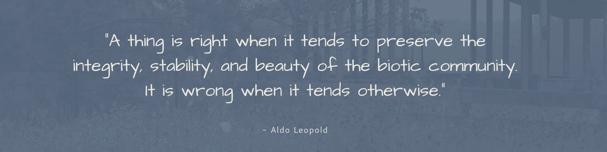 Aldo Leopold quote